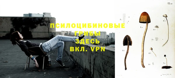 ГАЛЛЮЦИНОГЕННЫЕ ГРИБЫ Алексин