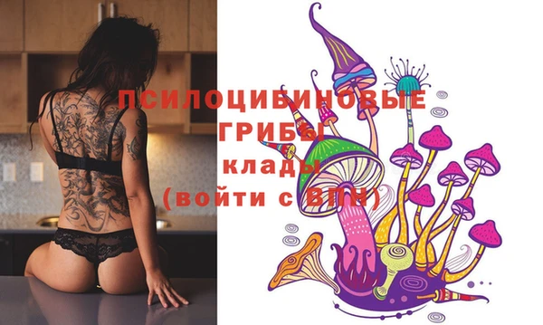 ГАЛЛЮЦИНОГЕННЫЕ ГРИБЫ Алексин
